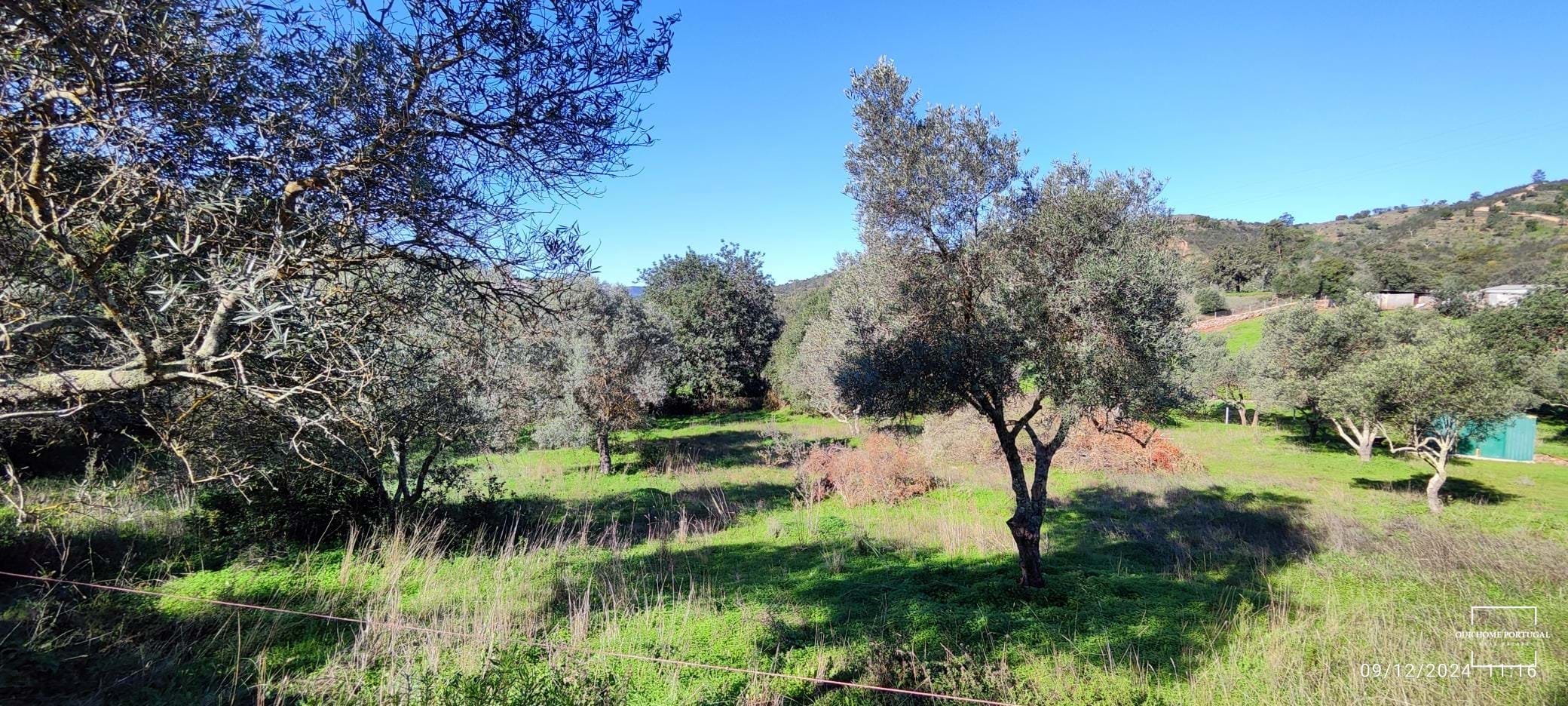 Land, For Sale Land, For Sale