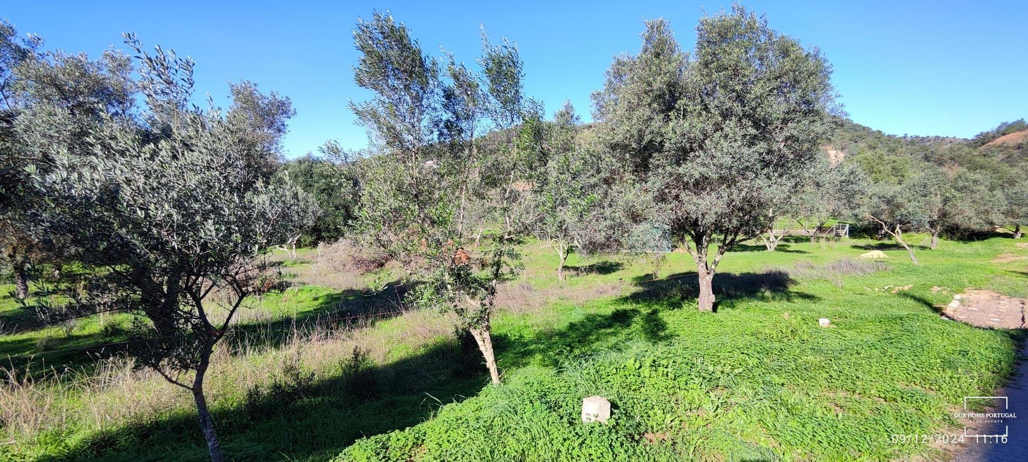 Land, For Sale Land, For Sale