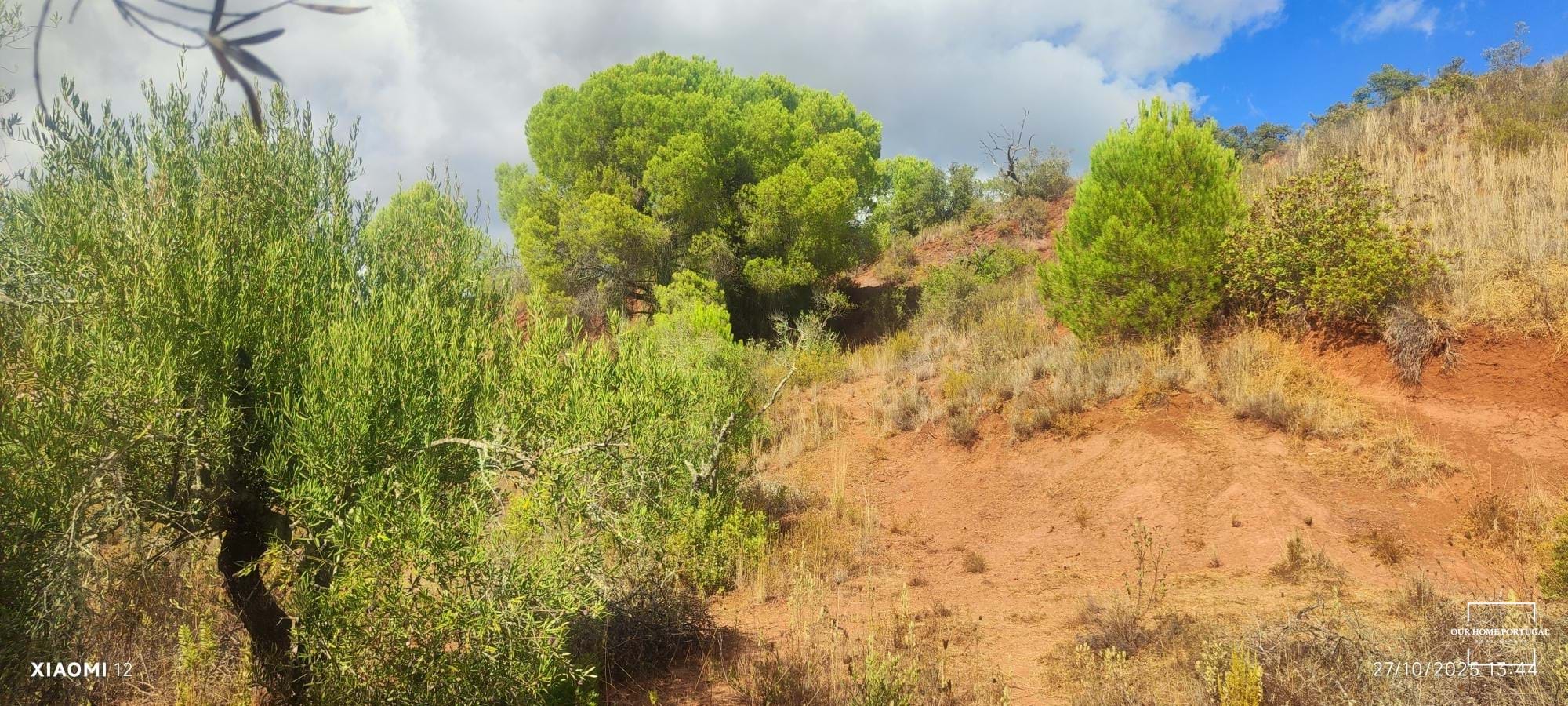 Land, For Sale Land, For Sale