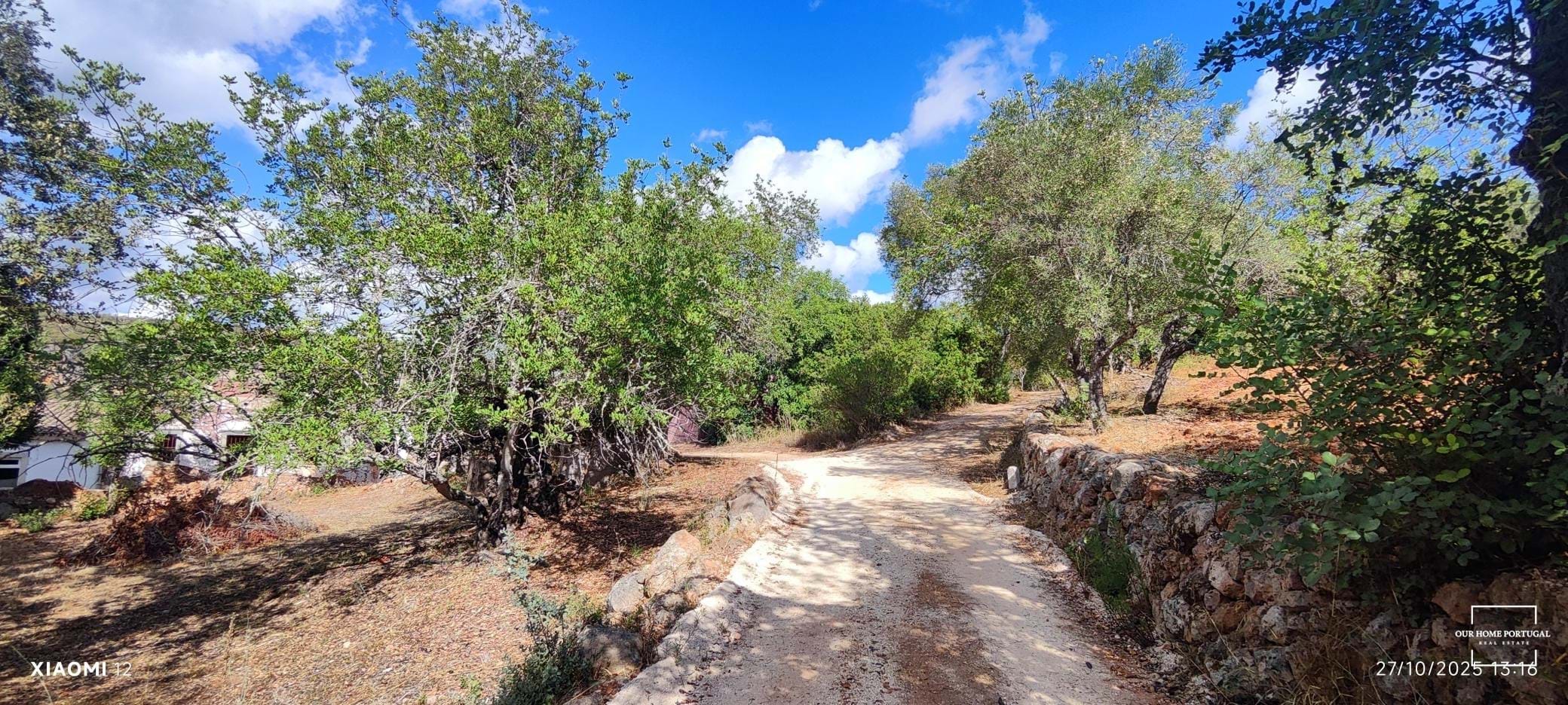 Land, For Sale Land, For Sale