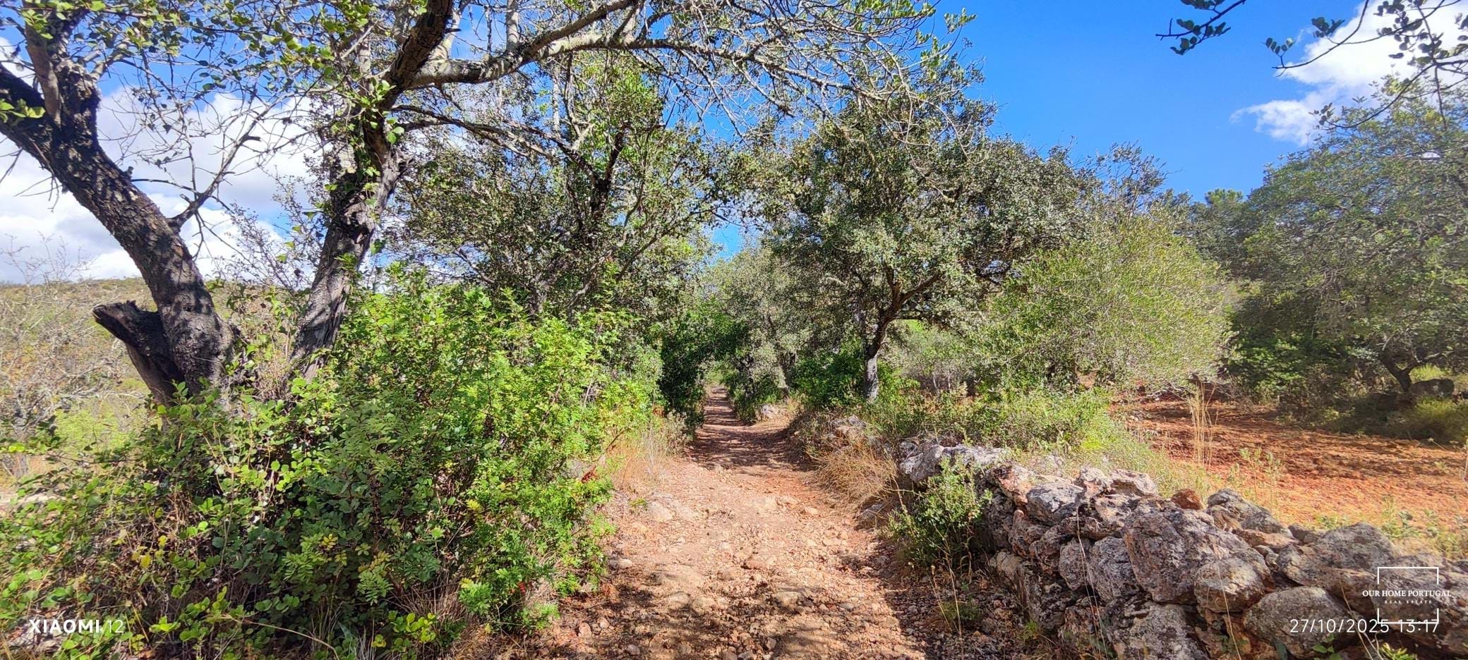 Land, For Sale Land, For Sale