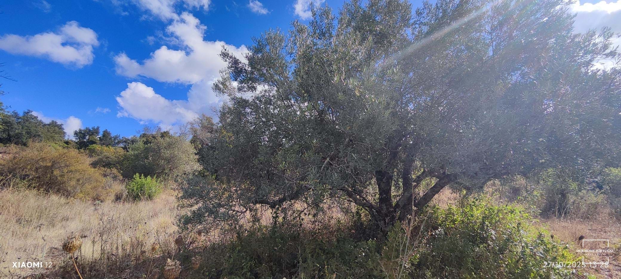 Land, For Sale Land, For Sale