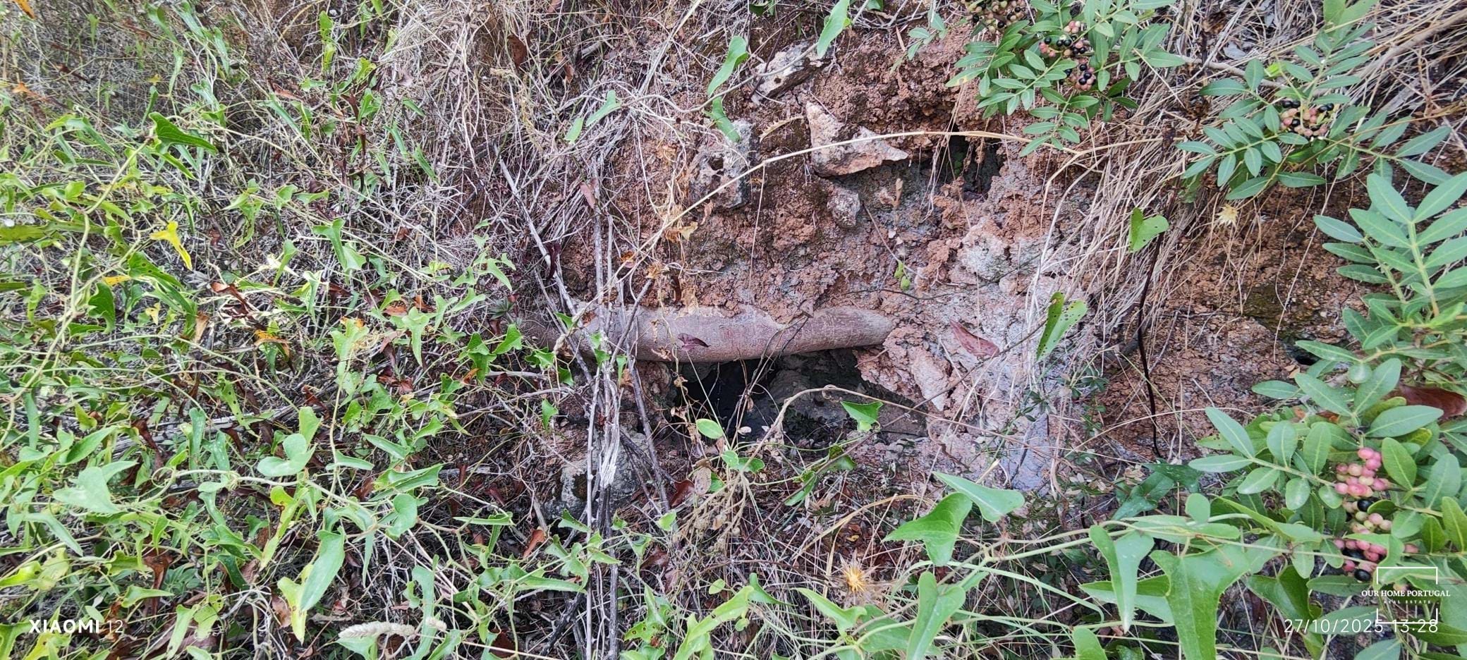 Land, For Sale Land, For Sale