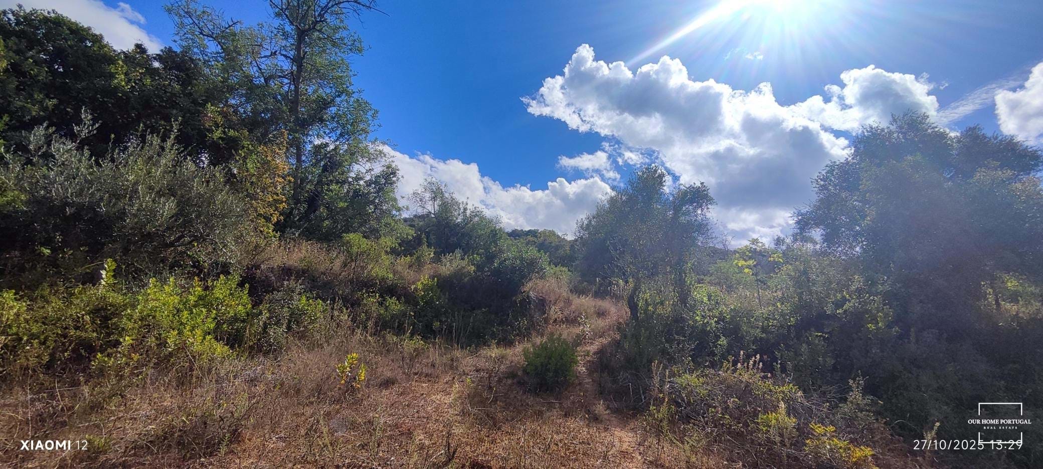 Land, For Sale Land, For Sale