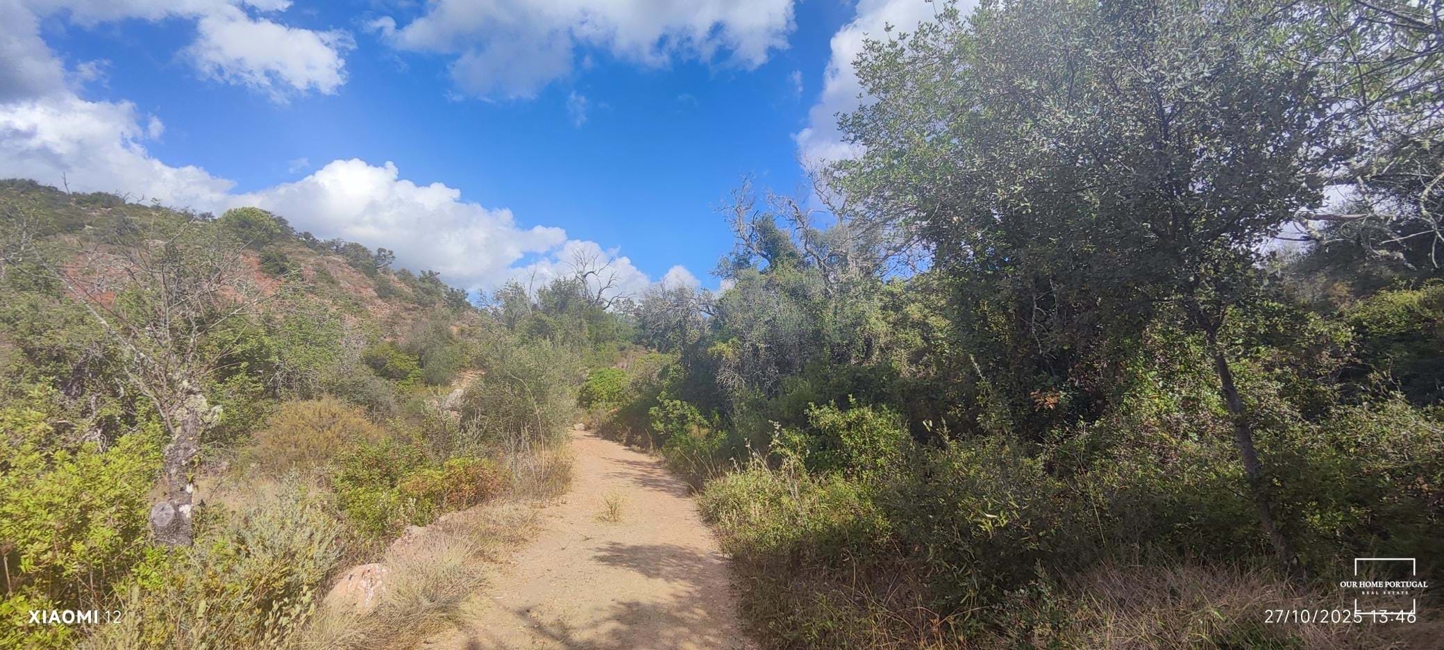 Land, For Sale Land, For Sale