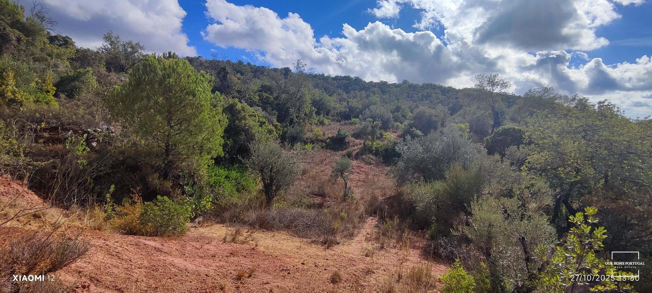 Land, For Sale Land, For Sale