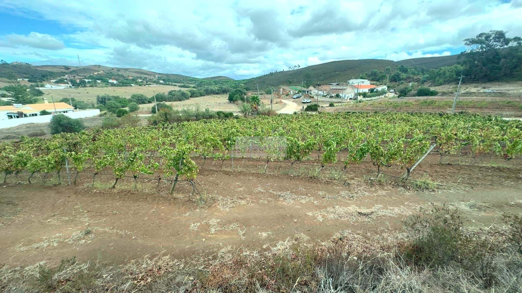 Land, For Sale Land, For Sale