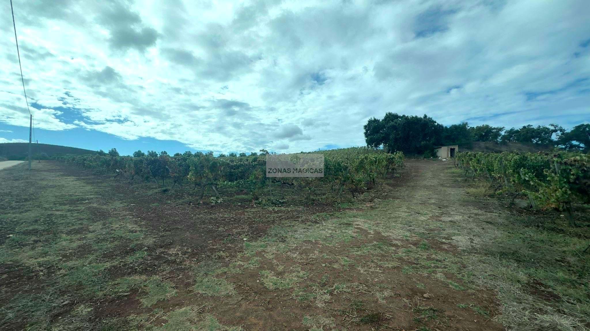 Land, For Sale Land, For Sale