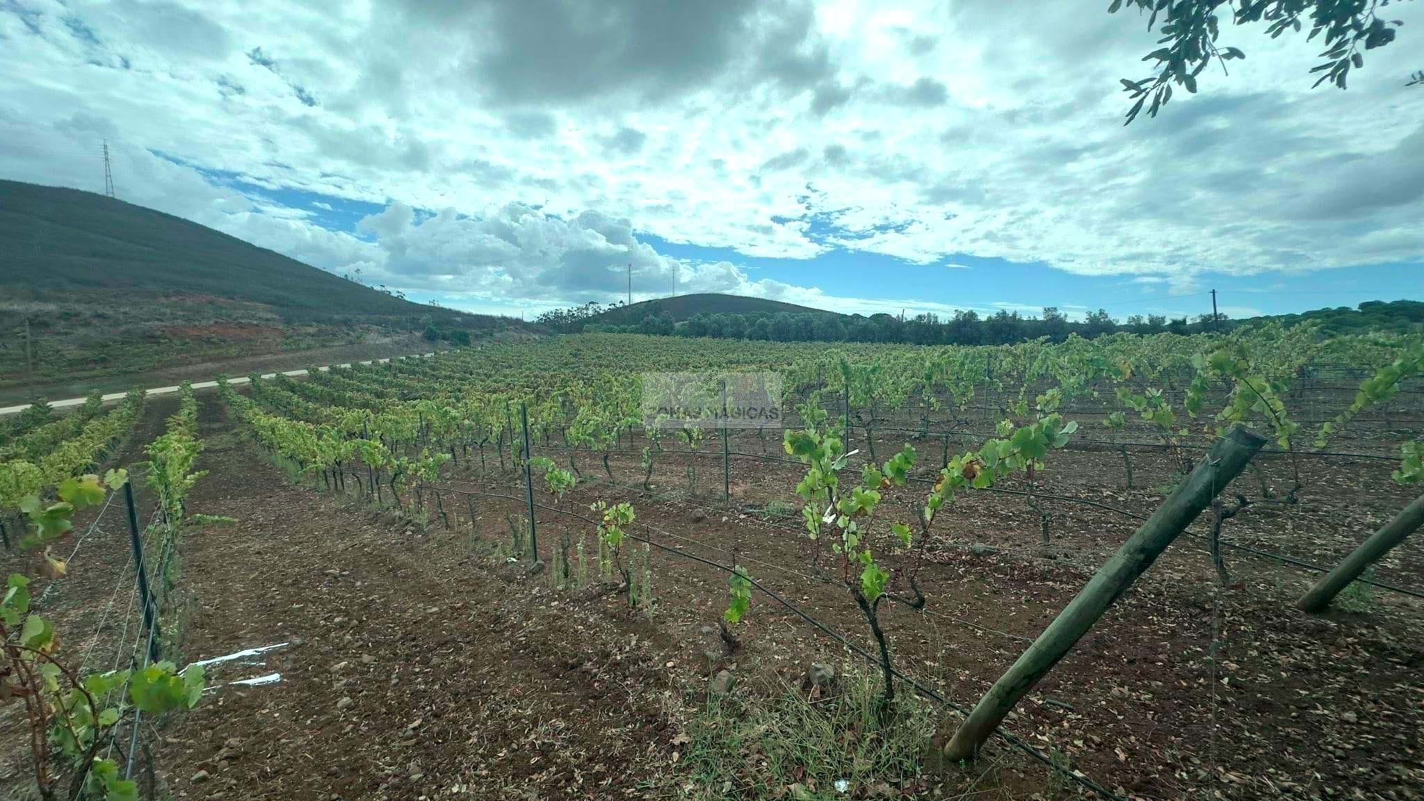 Land, For Sale Land, For Sale