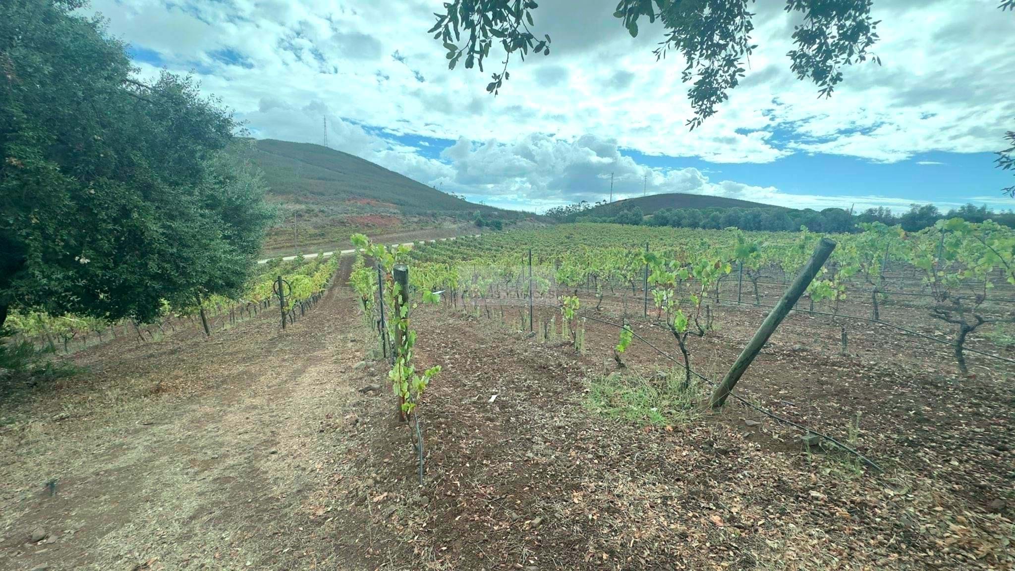 Land, For Sale Land, For Sale