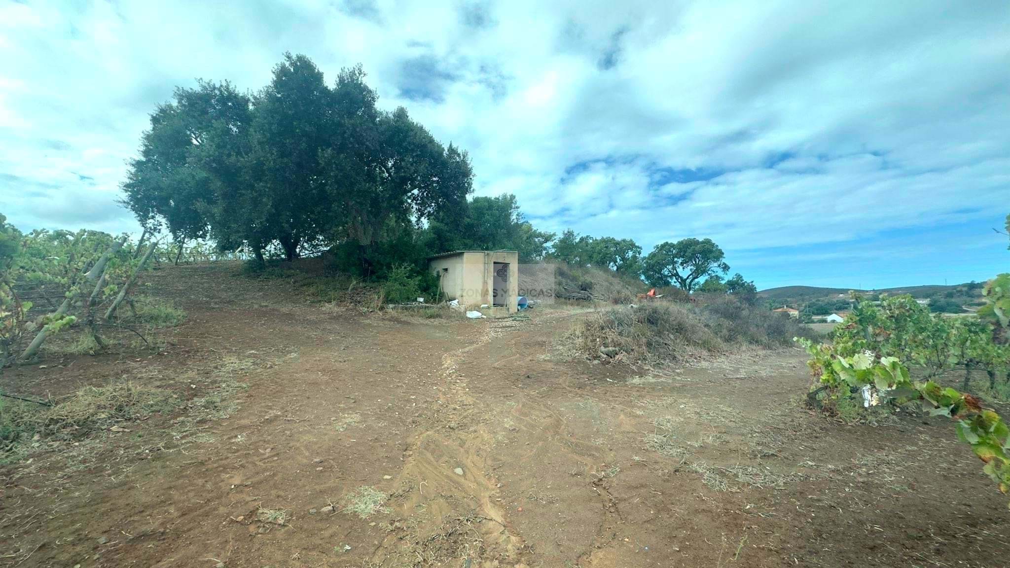 Land, For Sale Land, For Sale