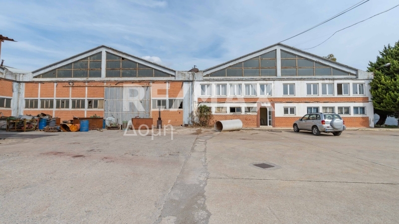 5 Bed, HouseFor Sale, Dimini, Aisonia, Magnesia 5 Bed, HouseFor Sale, Dimini, Aisonia, Magnesia