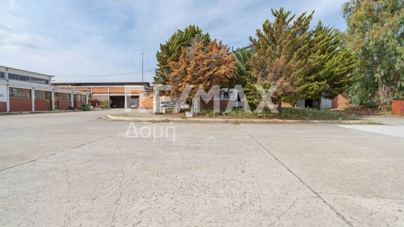 5 Bed, HouseFor Sale, Dimini, Aisonia, Magnesia 5 Bed, HouseFor Sale, Dimini, Aisonia, Magnesia