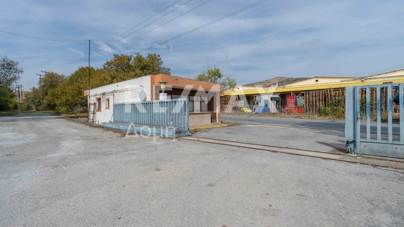 5 Bed, HouseFor Sale, Dimini, Aisonia, Magnesia 5 Bed, HouseFor Sale, Dimini, Aisonia, Magnesia