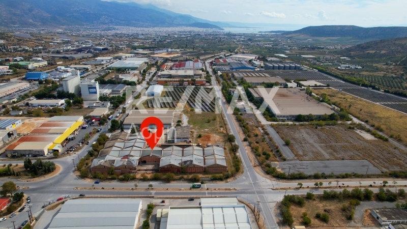 5 Bed, HouseFor Sale, Dimini, Aisonia, Magnesia 5 Bed, HouseFor Sale, Dimini, Aisonia, Magnesia