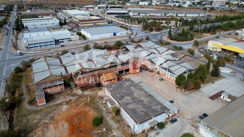 5 Bed, HouseFor Sale, Dimini, Aisonia, Magnesia 5 Bed, HouseFor Sale, Dimini, Aisonia, Magnesia