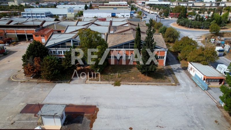 5 Bed, HouseFor Sale, Dimini, Aisonia, Magnesia 5 Bed, HouseFor Sale, Dimini, Aisonia, Magnesia