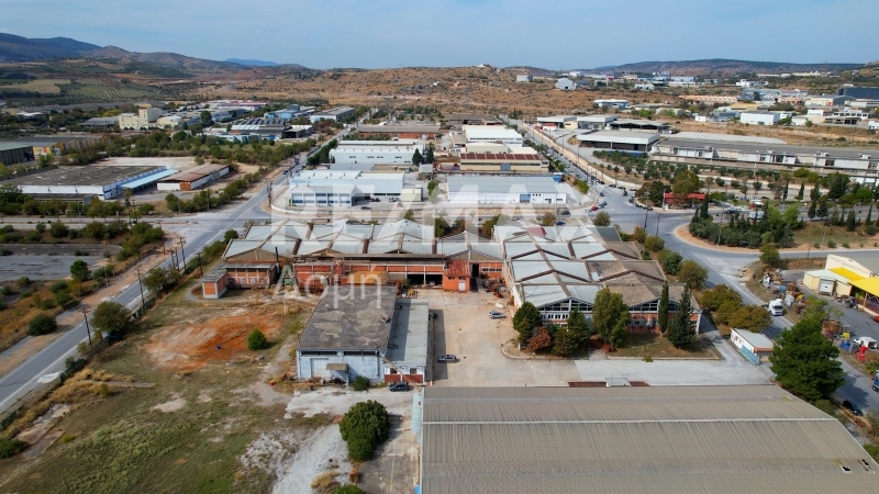 5 Bed, HouseFor Sale, Dimini, Aisonia, Magnesia 5 Bed, HouseFor Sale, Dimini, Aisonia, Magnesia