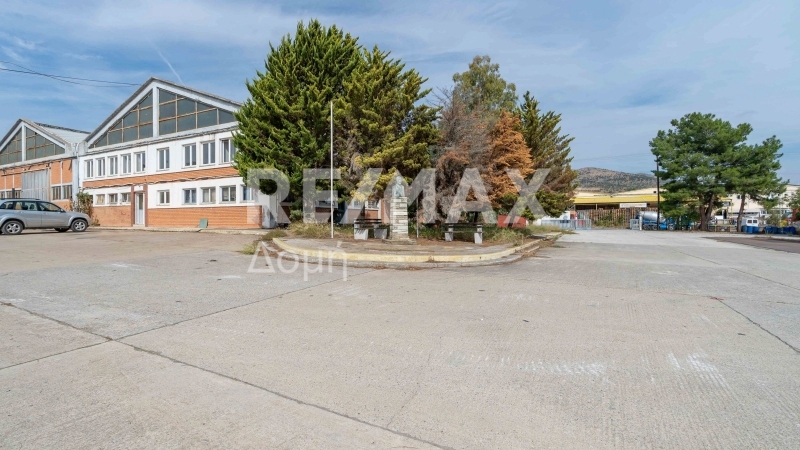 5 Bed, HouseFor Sale, Dimini, Aisonia, Magnesia 5 Bed, HouseFor Sale, Dimini, Aisonia, Magnesia