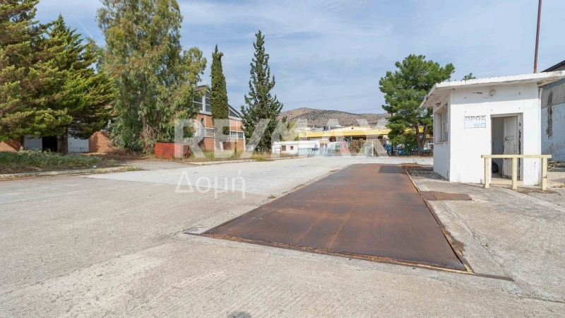 5 Bed, HouseFor Sale, Dimini, Aisonia, Magnesia 5 Bed, HouseFor Sale, Dimini, Aisonia, Magnesia