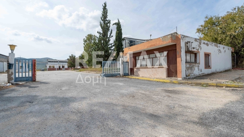 5 Bed, HouseFor Sale, Dimini, Aisonia, Magnesia 5 Bed, HouseFor Sale, Dimini, Aisonia, Magnesia