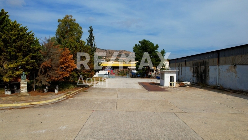 5 Bed, HouseFor Sale, Dimini, Aisonia, Magnesia 5 Bed, HouseFor Sale, Dimini, Aisonia, Magnesia