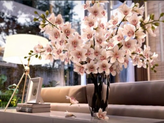 3 Bed, 3 Bath, HouseFor Sale, 110/220 Moo 3, Choengtalay, Thalang, Phuket 83110, Phuket, Surin, NorthWest