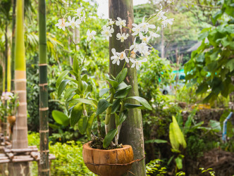 1 Bed, 1 Bath, ApartmentFor Sale, 40/22-23 Moo 1, T. Kathu A. Kathu, Phuket, Thailan, Phuket, Karon, SouthWest