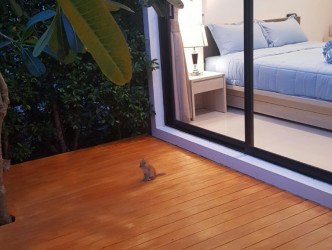 2 Bed, 2 Bath, ApartmentFor Sale, Phuket, NaiHarn, South