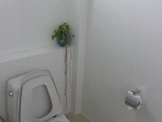 2 Bed, 2 Bath, ApartmentFor Sale, 110/111 Moo 3 Srisoonthorn Rd. Surin Soi 8 T.Cher, Phuket, BangTao, NorthWest 2 Bed, 2 Bath, ApartmentFor Sale, 110/111 Moo 3 Srisoonthorn Rd. Surin Soi 8 T.Cher, Phuket, BangTao, NorthWest