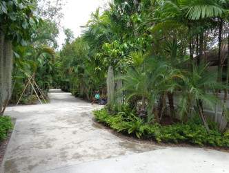 3 Bed, 3 Bath, HouseFor Sale, 66 Moo8, Soi Chaofa16, Chaofa(East) Road, Chalong, Phuket, Chalong, South 3 Bed, 3 Bath, HouseFor Sale, 66 Moo8, Soi Chaofa16, Chaofa(East) Road, Chalong, Phuket, Chalong, South