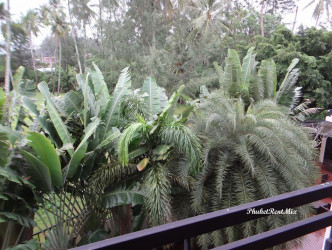 1 Bed, 1 Bath, ApartmentFor Sale, 110/83-84 Moo 3, Bantao Beach, T.Cherngtalay, A.Th, Phuket, BangTao, NorthWest