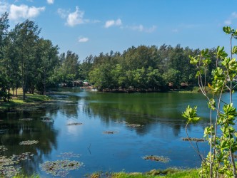 2 Bed, 2 Bath, ApartmentFor Sale, Phuket, Laguna, NorthWest