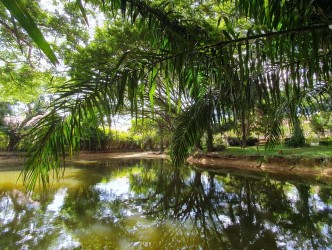 4 Bed, 4 Bath, HouseFor Sale, Phuket, NaiHarn, South