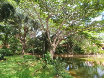 4 Bed, 4 Bath, HouseFor Sale, Phuket, NaiHarn, South