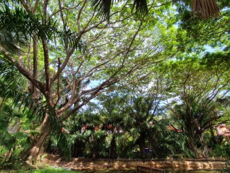 4 Bed, 4 Bath, HouseFor Sale, Phuket, NaiHarn, South