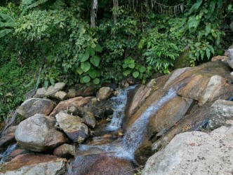 5 Bed, 5 Bath, HouseFor Sale, Phuket, Kamala, West