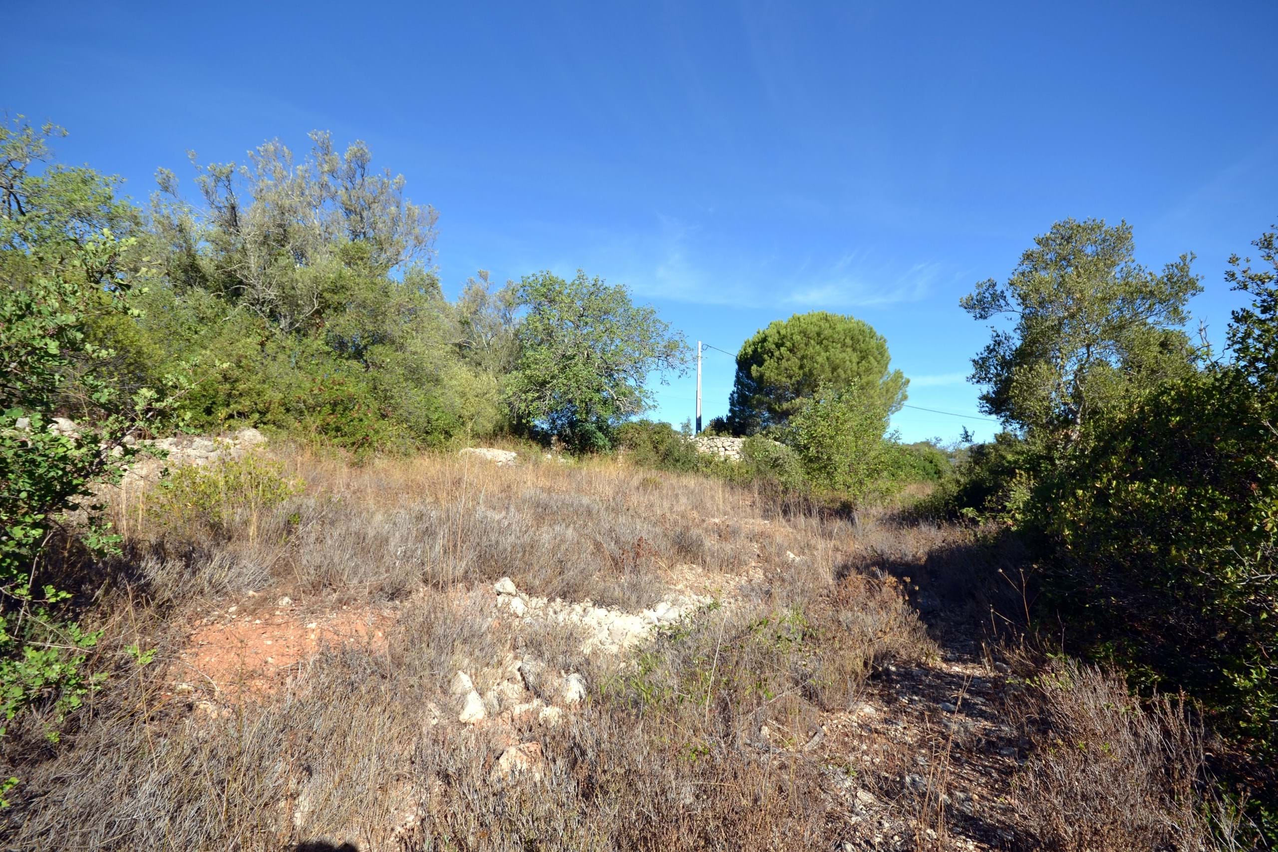 Land, For Sale Land, For Sale