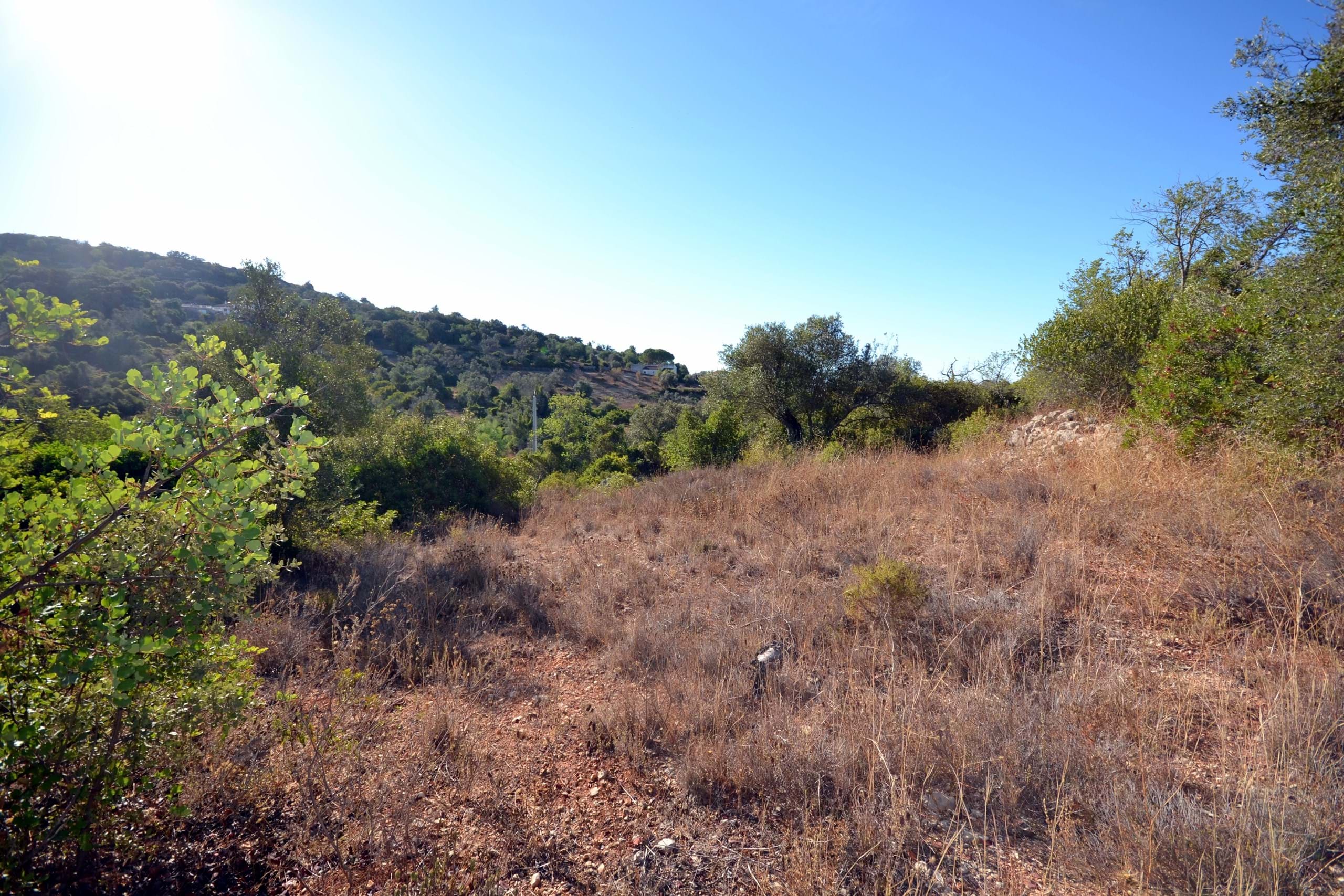 Land, For Sale Land, For Sale