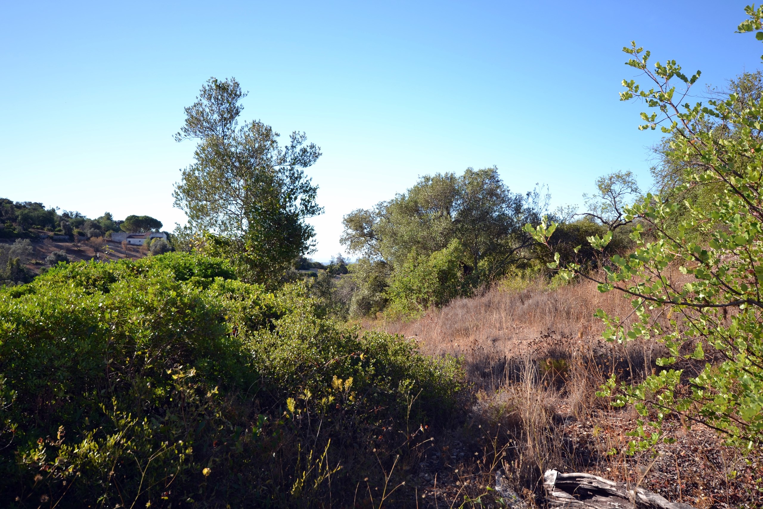 Land, For Sale Land, For Sale