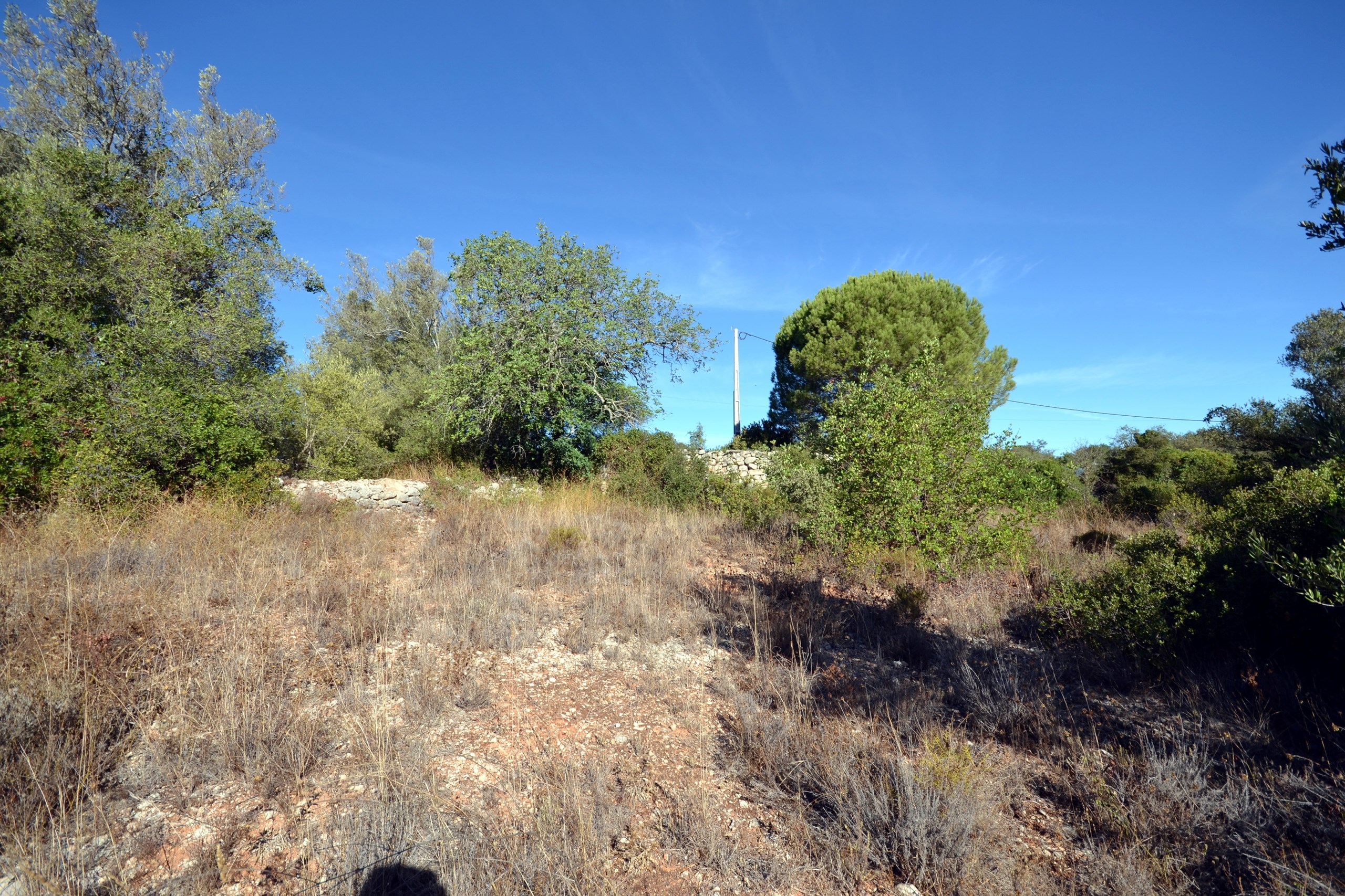 Land, For Sale Land, For Sale