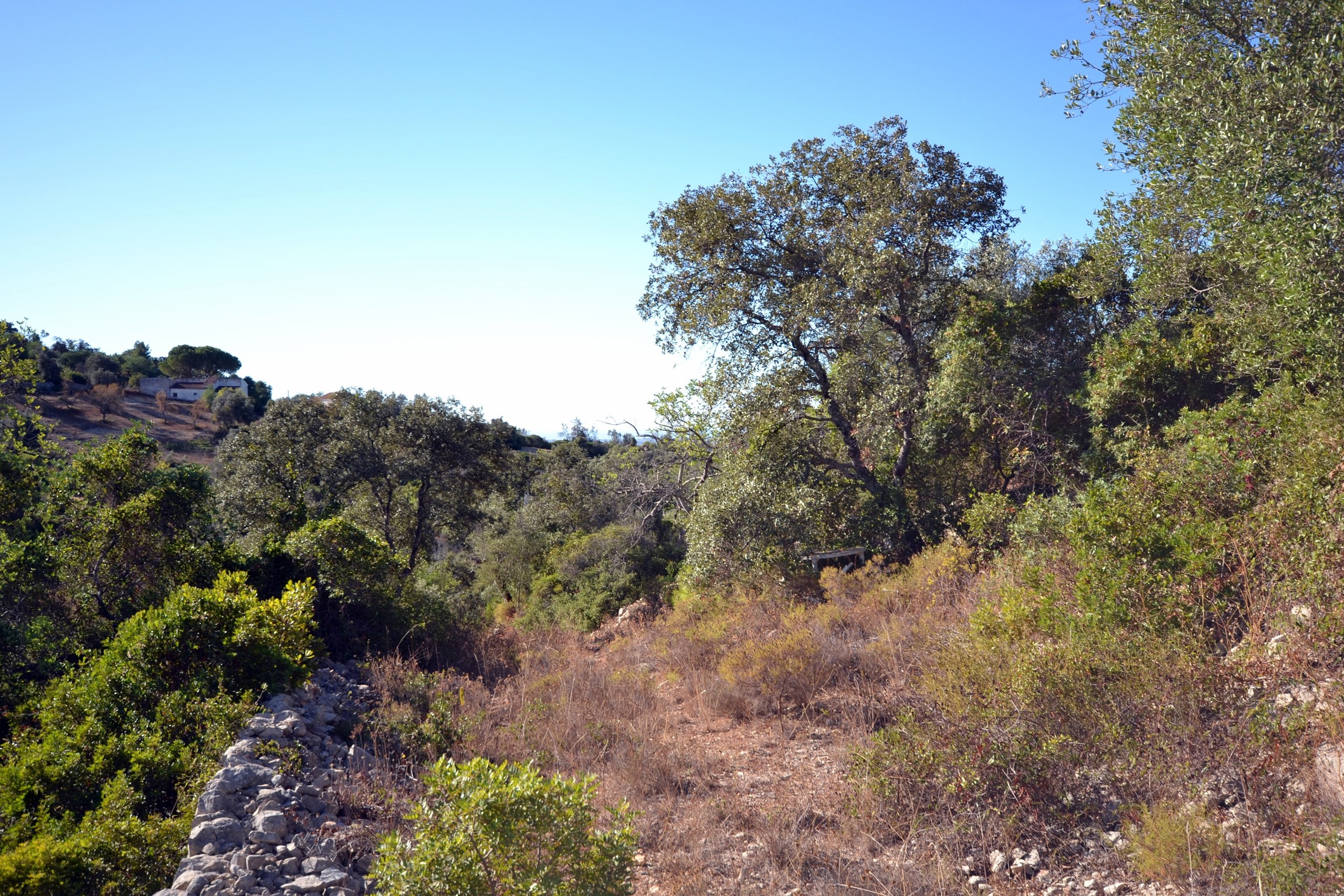 Land, For Sale Land, For Sale