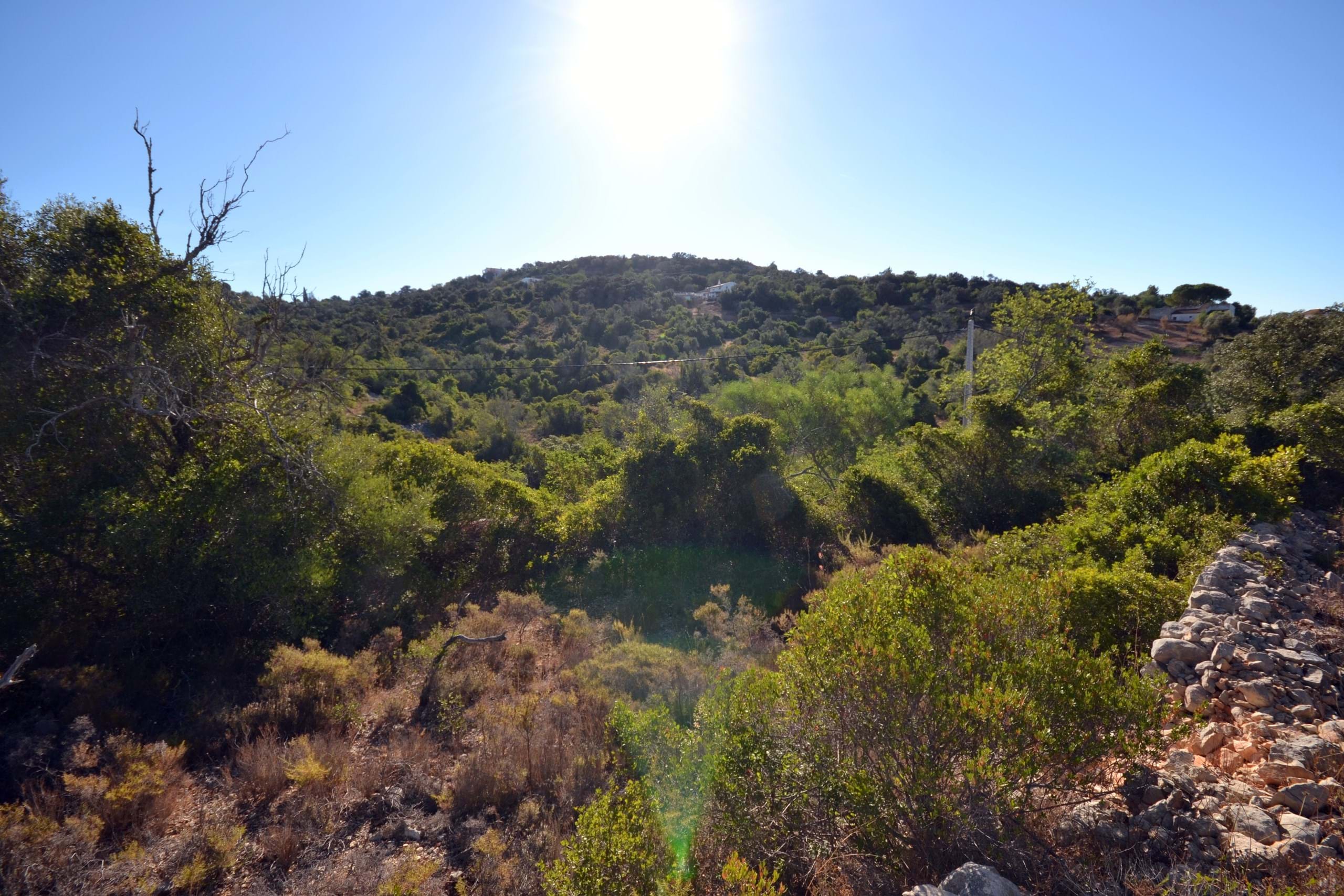 Land, For Sale Land, For Sale