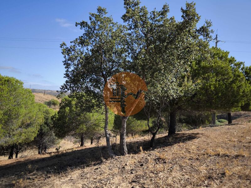 Land, For Sale Land, For Sale