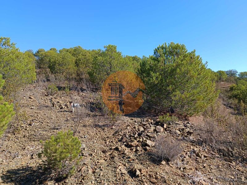 Land, For Sale Land, For Sale