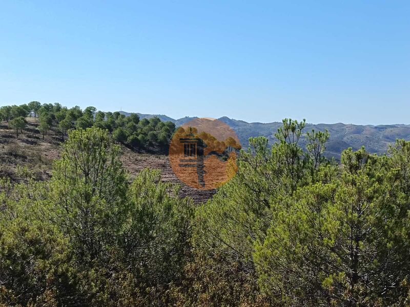 Land, For Sale Land, For Sale