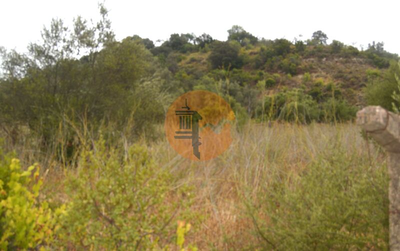 Land, For Sale Land, For Sale