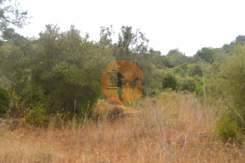 Land, For Sale Land, For Sale