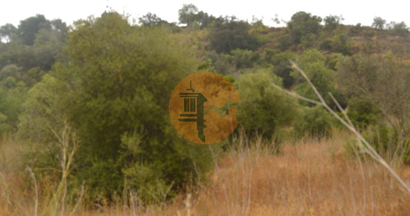 Land, For Sale Land, For Sale