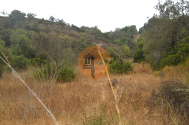 Land, For Sale Land, For Sale